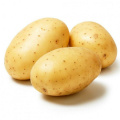 The best Chinese fresh potatoes export vegetable wholesale